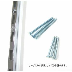 長物送料 棚 DIY ASF-1 チャンネルサ...の詳細画像3