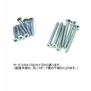 ステンレス棚受けレール(ダボレール・棚柱・ダボ...の詳細画像1