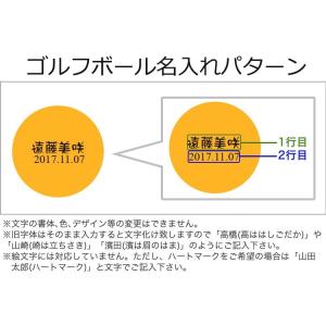 大感謝祭セールの 猫セット 名入れカラーゴルフボール マット仕様３個 ステンレスグリーンフォーク Pro 肉球デザイン ステンレス切り文字マーカー ニャンたん 注文割引の