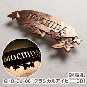 表札 おしゃれ 戸建 立体 銅表札 GHO-CU-06「クラシカルアイビー・3D」 ローマ字 アイアン フレーム｜nonbiriya