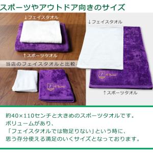 今治タオル 【 エンブレムデザイン & 名前の...の詳細画像5