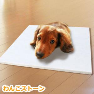 犬 大理石の商品一覧 通販 Yahoo ショッピング