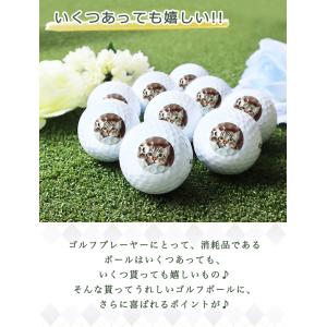 ゴルフボール 名入れ 【ロゴ・写真入り(片面印...の詳細画像2