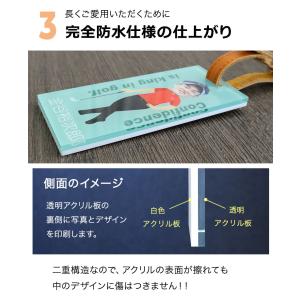 ゴルフ ネームプレート 名入れ 顔写真入り ネ...の詳細画像5