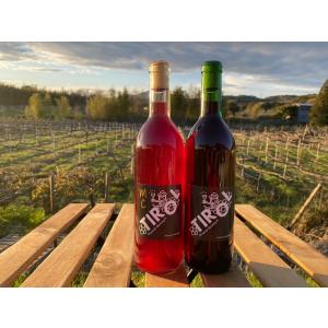 ギフト プレゼント 家飲み 愛知県産 豊橋ワイ...の詳細画像1