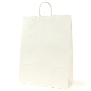 パックタケヤマ 手提げ 紙袋 HV100 晒 50枚 XZT00946
