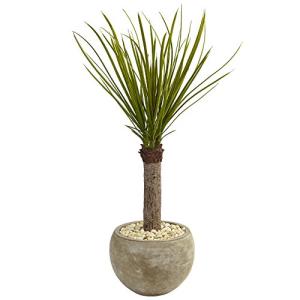 Nearly Natural 3.5' Yucca 人工木 砂色ボウル グリーン