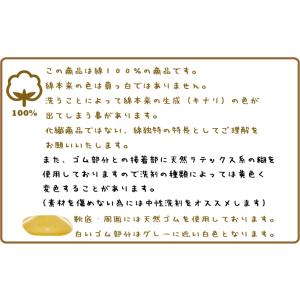 上履き 単品 8色から選べる 教育パワーシュー...の詳細画像5