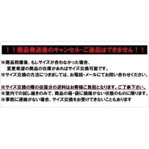 【単品】上履き バレーDX 教育シューズの詳細画像1