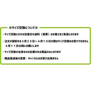 【単品】上履き バレーDX 教育シューズの詳細画像2