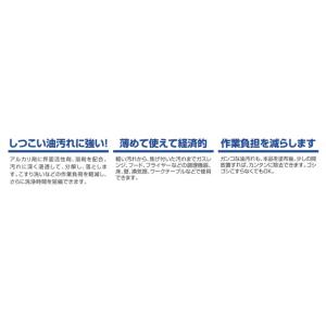 ニイタカ ニューケミクール 油汚れ用強力洗浄剤...の詳細画像2