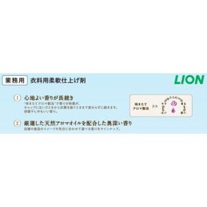 ライオン 柔軟剤 ソフラン アロマリッチ ジュ...の詳細画像5