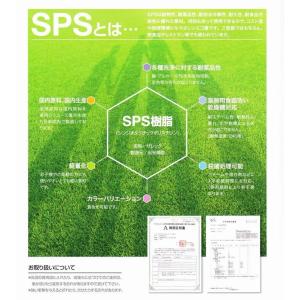 【全国送料無料】SPS製 リユース箸 21cm...の詳細画像4