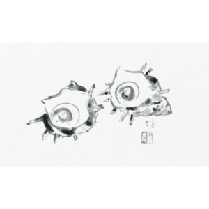 テーブルマット Eタイプ No.505 さざえ...の詳細画像1