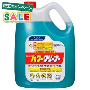 花王　厨房機器用強力洗浄剤　Kaoパワークリーナー　4.5L×4本入●ケース販売お徳用｜nontarou