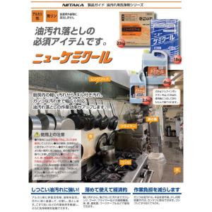 【送料無料(沖縄を除く)】ニイタカ ニューケミ...の詳細画像2