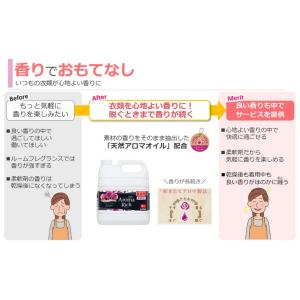 ライオン 柔軟剤 ソフラン アロマリッチ ジュ...の詳細画像3