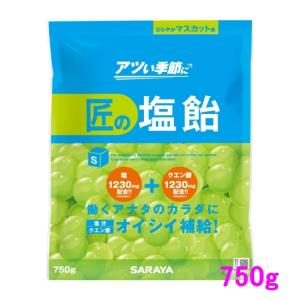 【数量限定】サラヤ　匠の塩飴　マスカット味　750g×10袋入●ケース販売お徳用【取り寄せ商品・即納不可】｜nontarou