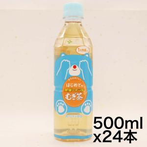 伊藤園 はじめての健康ミネラルむぎ茶 500ml×24本｜noon-store