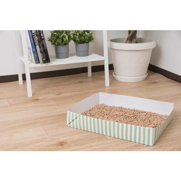 キャバトリー 10セット入り *送料無料