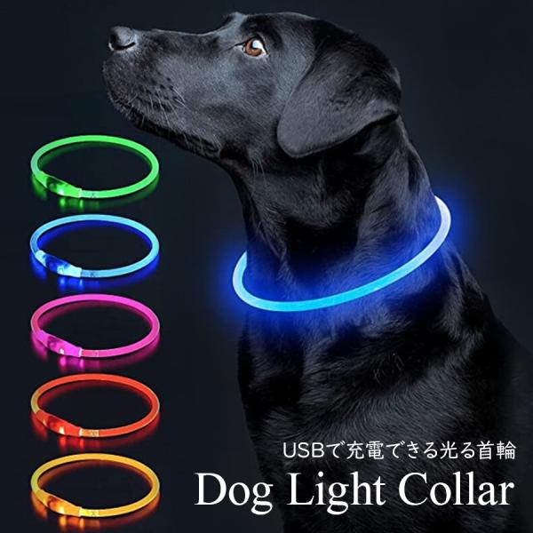 犬 首輪 光る USB充電式 LED ペット 夜間 散歩 事故防止 安全 メール便 即納