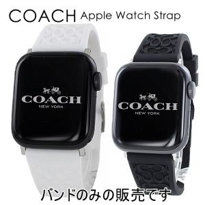 即納 CASETiFY ケースティファイ ステンレス ベルト Apple Watch