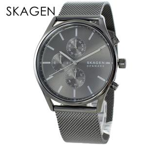 SKAGEN（スカーゲン） 腕時計 男性用 メンズ メルビーチタニウム