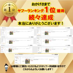 のらスタイル マルチポケットエプロン NS94...の詳細画像1