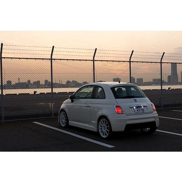 リアハーフスポイラー FIAT500 Ino la Design 受注生産 ASSO アッソ 車 ド...
