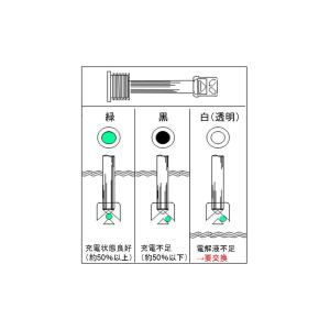 送料無料 ACデルコ プレミアムEFBバッテリ...の詳細画像3
