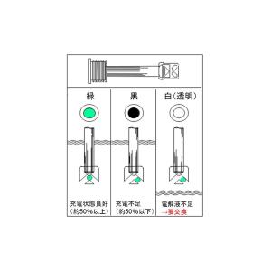 送料無料 ACデルコ プレミアムEFBバッテリ...の詳細画像3