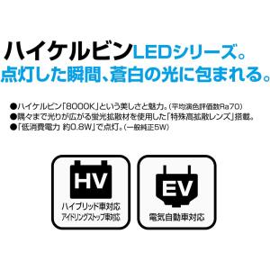 PIAA ルーム LED ハイケルビンルームL...の詳細画像4
