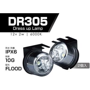 PIAA PIAA(ピア) バイク用 MLL2 LP530 LEDランプ ドライビング配光