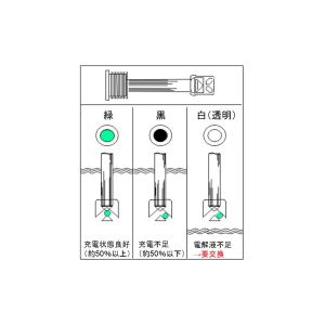 送料無料 ACデルコ プレミアムSMFバッテリ...の詳細画像2