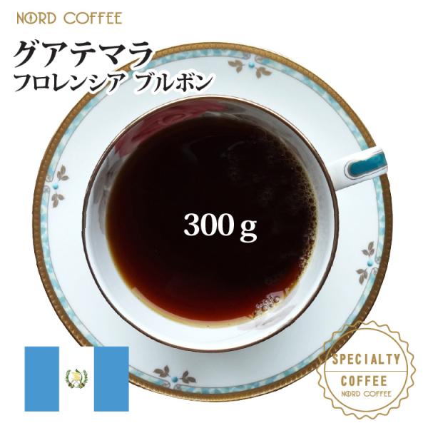 グアテマラ フロレンシア ブルボン 300g