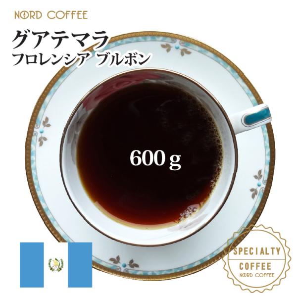 グアテマラ フロレンシア ブルボン 600g(300g×2袋)