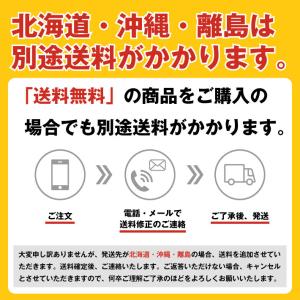 提灯 両面 ちょうちん やきとり(勘亭流) 焼...の詳細画像5