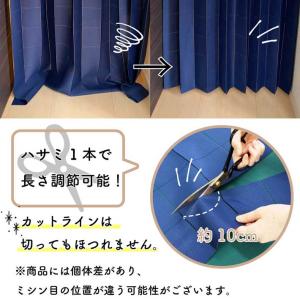 アコーディオンカーテン 当店人気No1 洋風 ...の詳細画像3