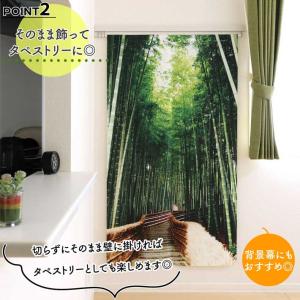 のれん 桜 さくら 和風 モダン 暖簾 和柄 ...の詳細画像2