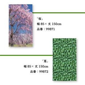 のれん 桜 さくら 和風 モダン 暖簾 和柄 ...の詳細画像5