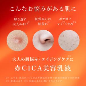 Nオーガニック 公式 Basic 化粧水・乳液...の詳細画像3