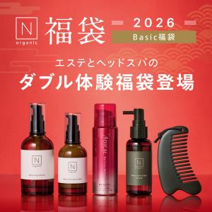 【48%OFF】N organic Basic 福袋 2026 豪華5点 エステ&ヘッドスパ気分 数量限定 [ 化粧水 乳液 美容液 スキンケア セット 福袋 ギフト nオーガニック 育毛 ]