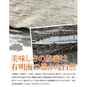 初摘み焼海苔 佐賀県有明海産推等級使用 東京屋...の詳細画像1