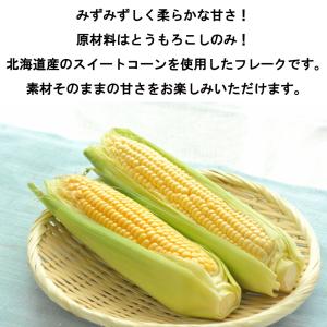 北海道産 野菜フレーク 選べる2袋セット とう...の詳細画像3