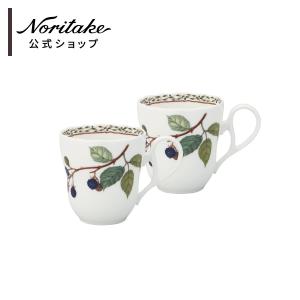 ノリタケ オーチャードガーデン 24.5cmプレート ( 電子レンジ対応