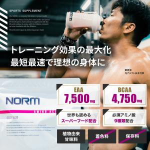 NORM ノーム EAA 7500mg BCA...の詳細画像1