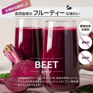 NORM ノーム EAA 7500mg BCA...の詳細画像4