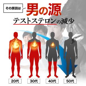高麗人参 サプリ サプリメント 朝鮮人参 クラ...の詳細画像5