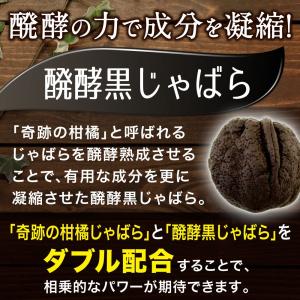 【6個セット】さよなら花粉生活 じゃばら サプ...の詳細画像3