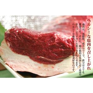 鹿肉 ヒレ肉 500g (総重量) 北のジビエ...の詳細画像4